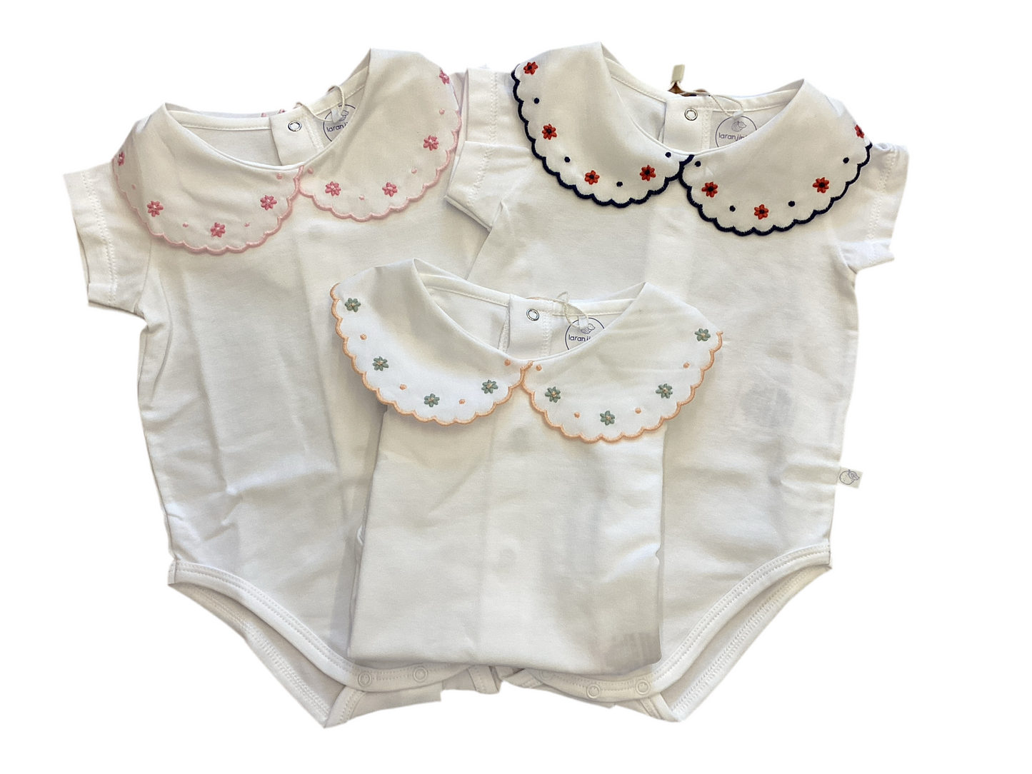 V5846 body collo anello