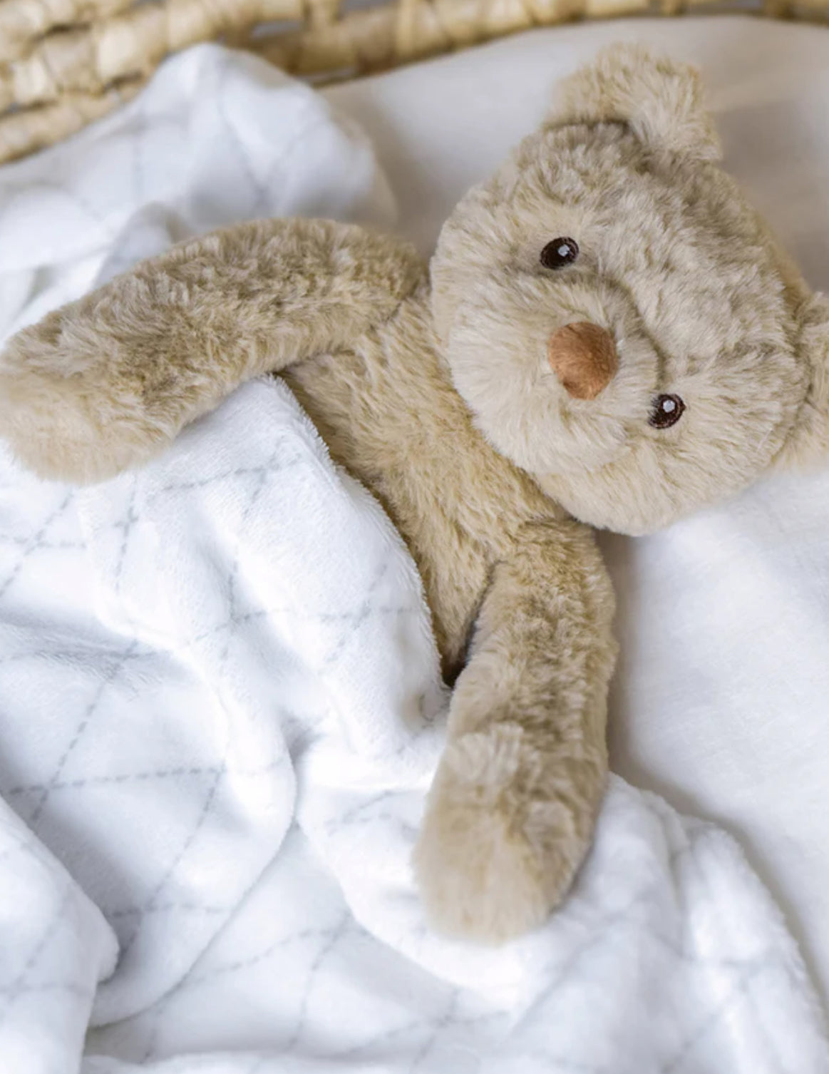 Teddy and blanket gift set