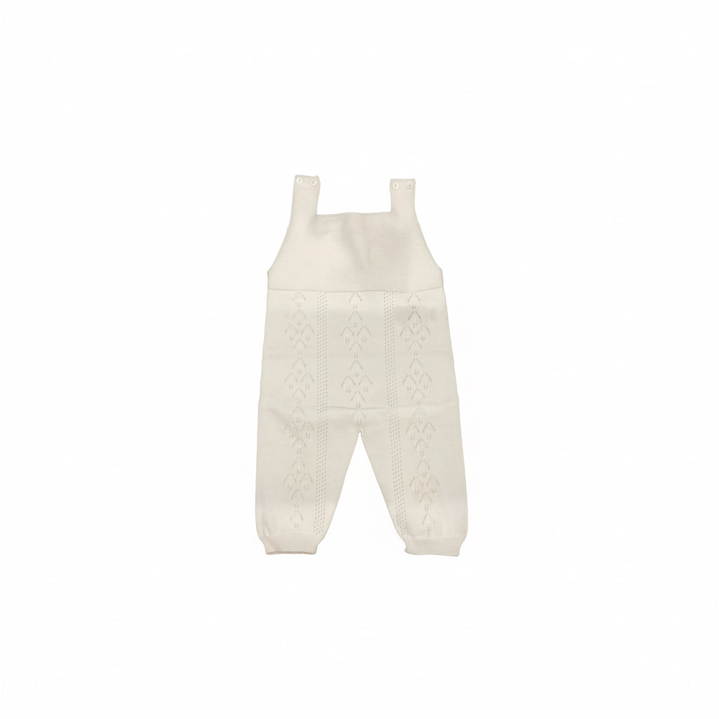 🪻SS26 overall 02310A W.
