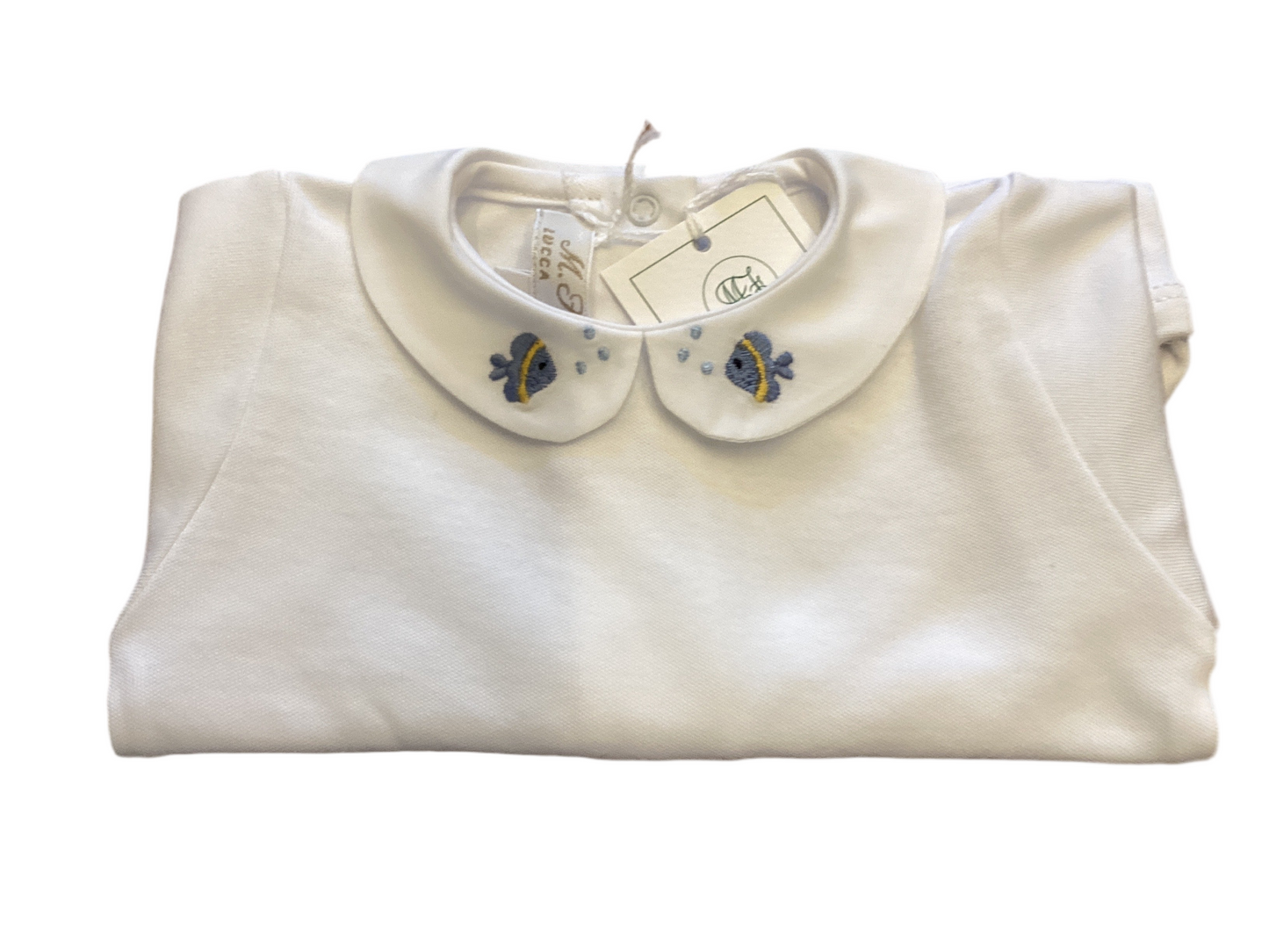 Body pesce tropicale CAW25