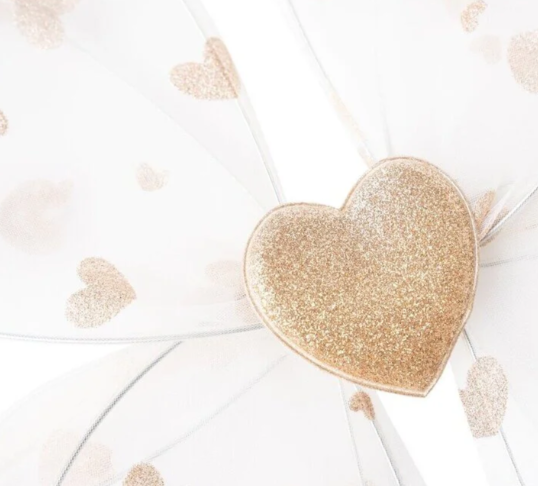 Fairy wings Anaisa | Promise