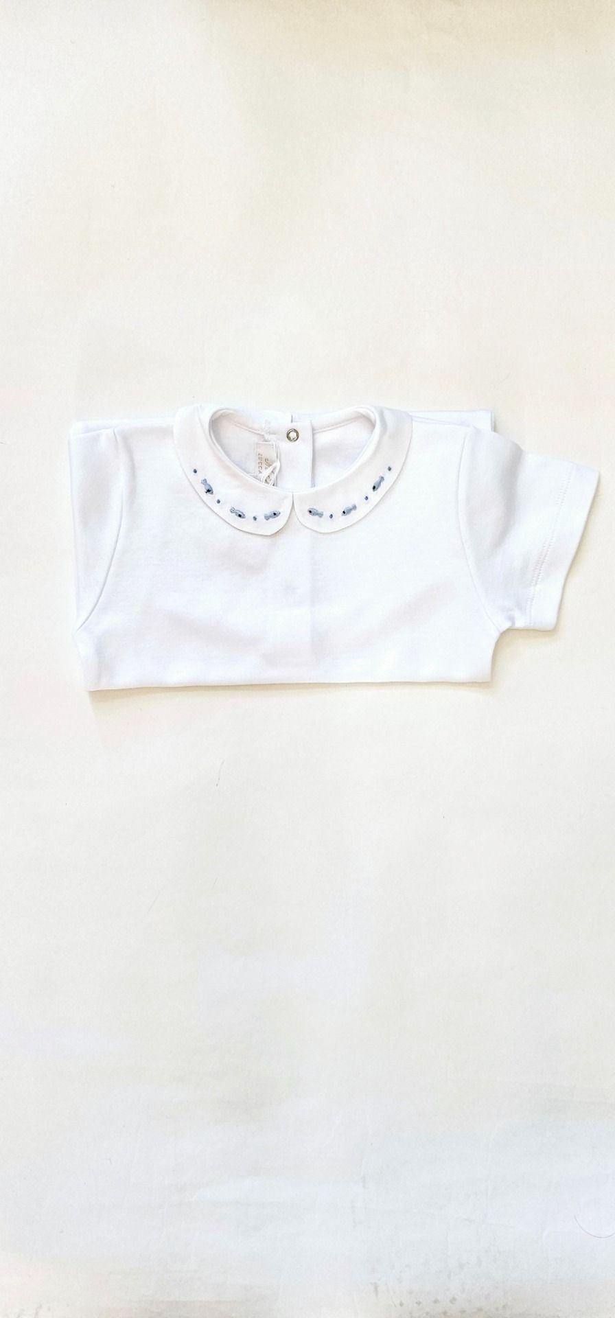 Body pesciolini SS