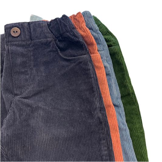 Pantalone velluto PTA1