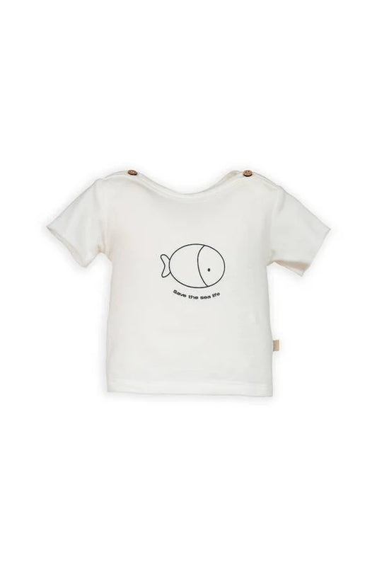 T-shirt M.C con  stampa 824 bamboom✅