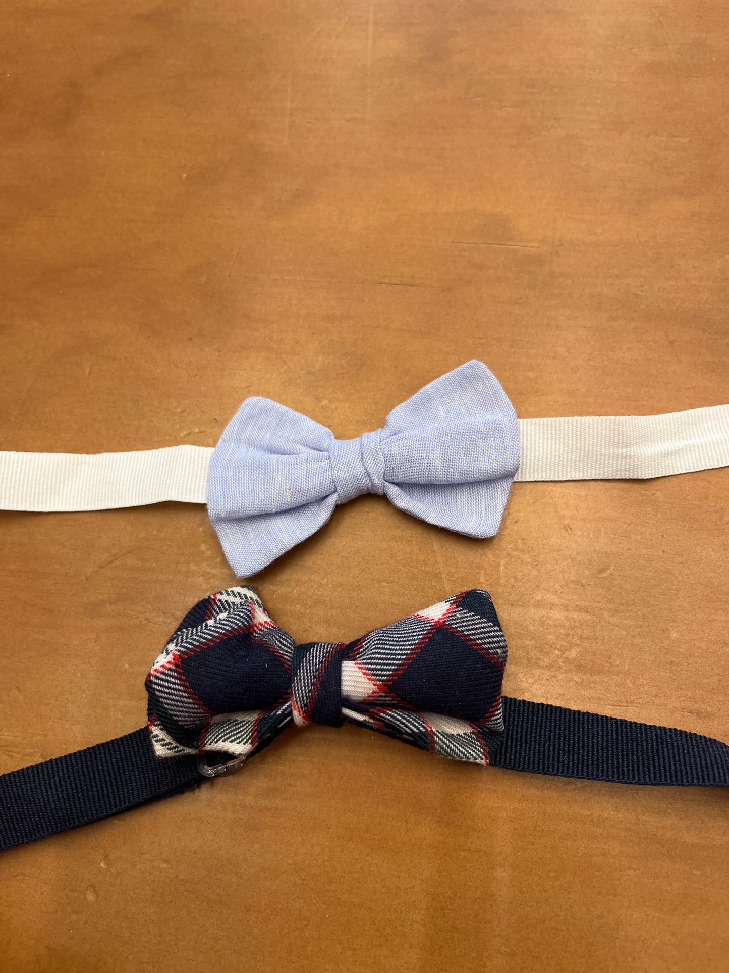 Papillon Coccodé C59982