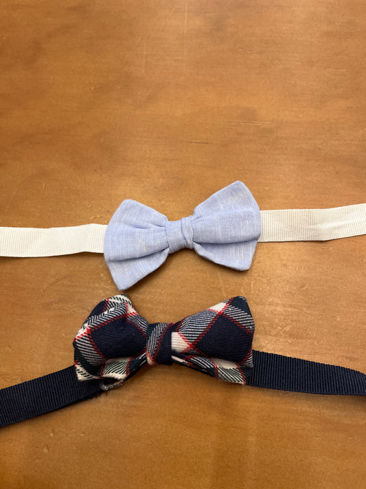 Papillon Coccodé C59982