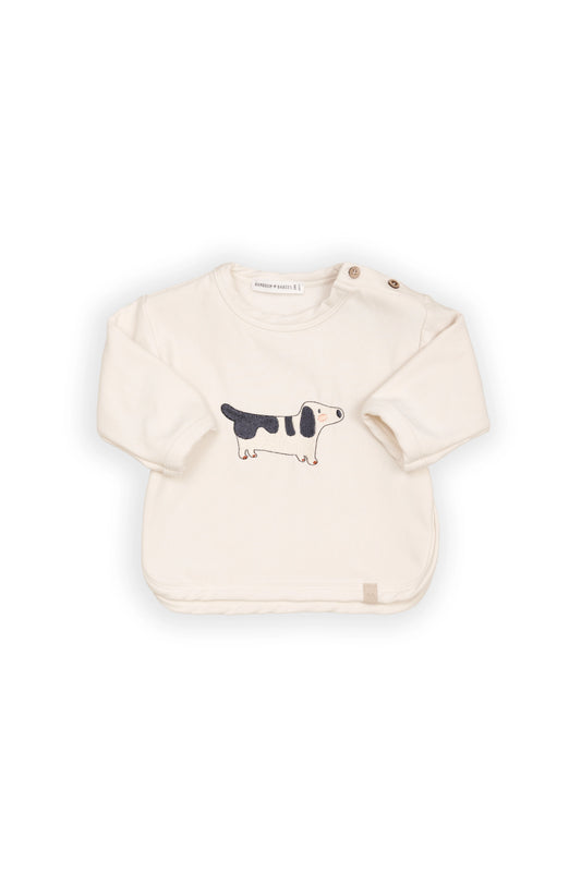 1075 Maglia bassotto